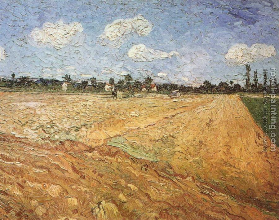 Vincent Van Gogh : The Plowed Field